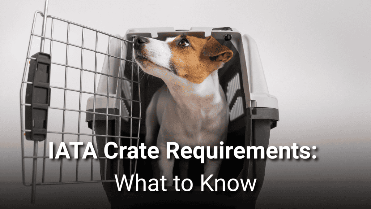 IATA crate requirements; IATA pet crate size; airline approved dog crate; pet cargo crate requirements; IATA compliant pet carrier