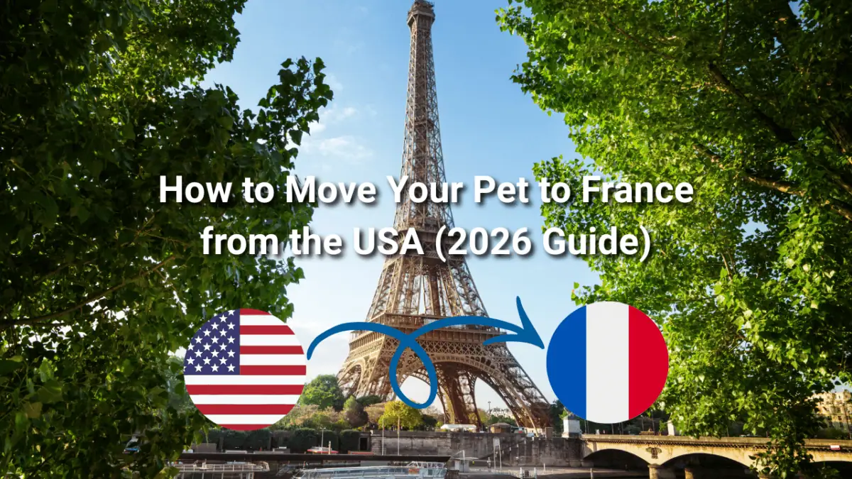 moving pets to France, pet travel USA to France, France pet import requirements, EU health certificate for dogs, bringing a dog to France