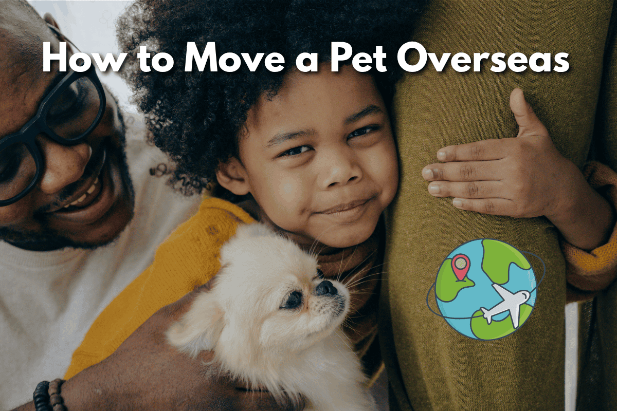 Family hugging a small fluffy dog with a globe and airplane icon: How to Move a Pet Overseas