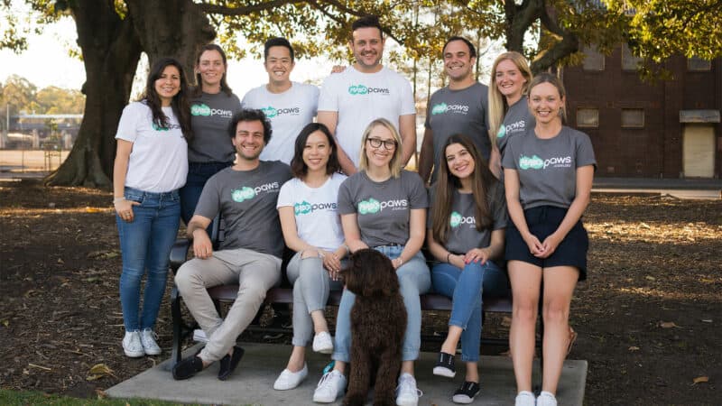 Mad Paws celebrate bring your dog to work day at WOTSO Pyrmont