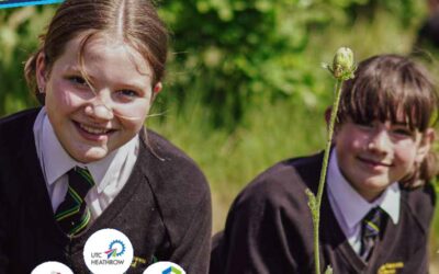 Trust annual report published
