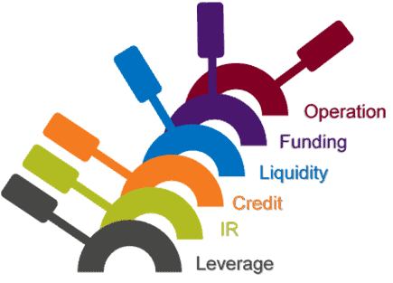 Ask ALM, November 2017, How Can We Better Manage Our Balance Sheet to Optimize Financial Performance?