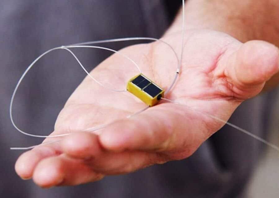 Exploring the Benefits of GPS Tracking Equipment for Ornithologists and Bird Enthusiasts