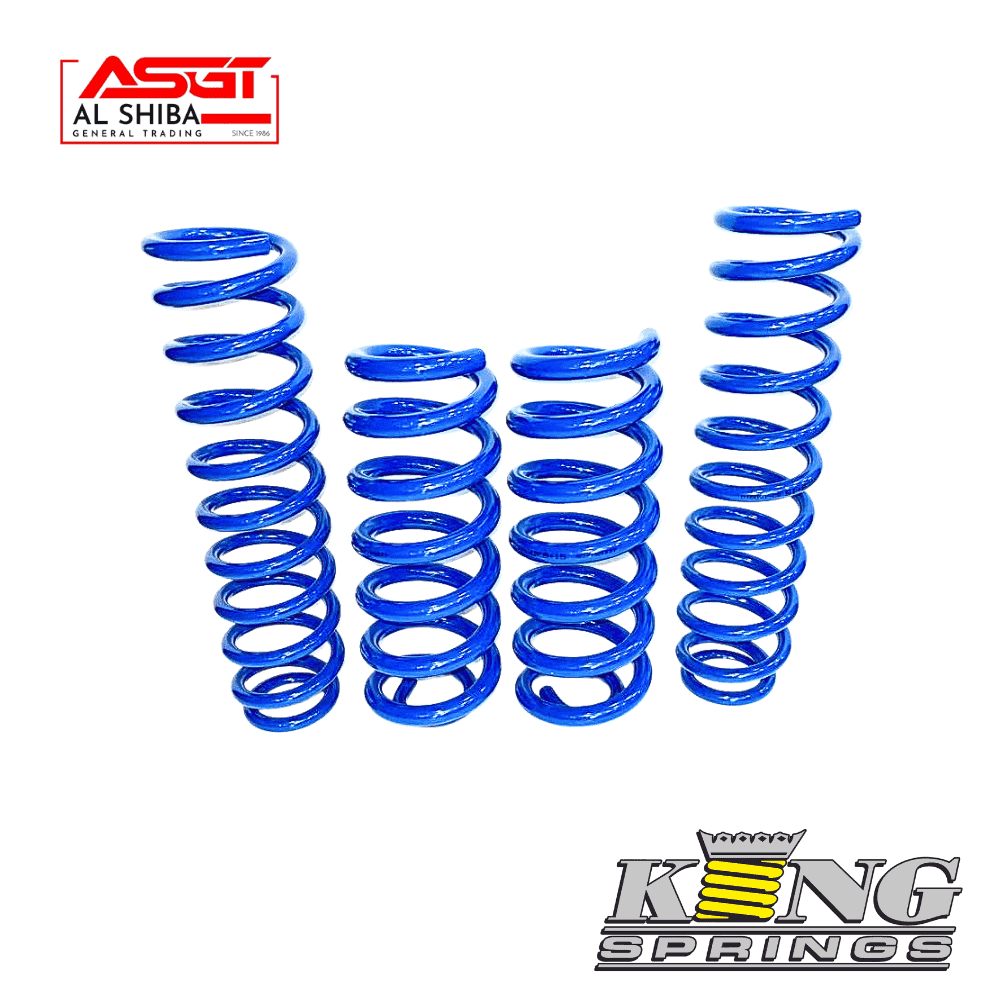 Blue coil springs for automotive suspension, displayed in a row.