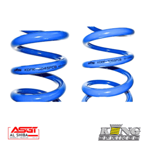 KDRR-304SPCB blue coil spring for industrial applications.