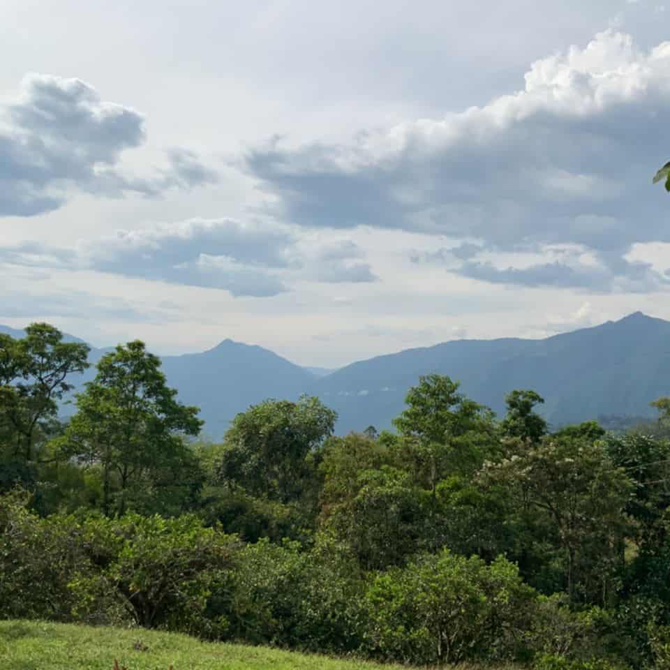 Venecia firmará convenio para protección de reservas forestales