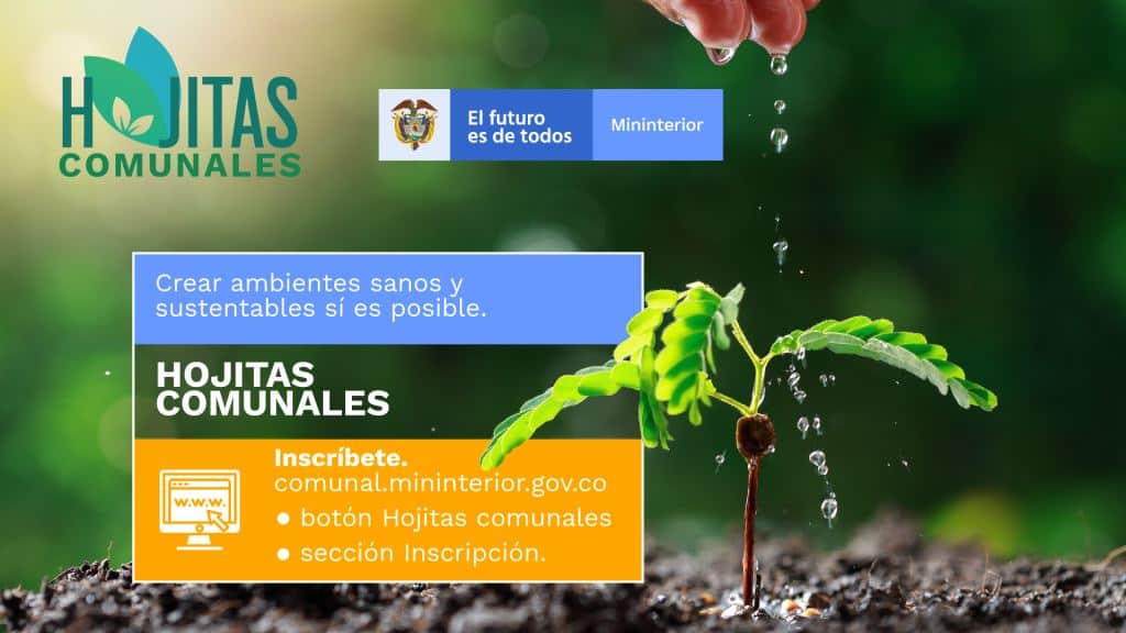 Heliconia realizará convocatoria Hojitas Comunales