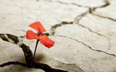 Pedagogías sobre resiliencia en Tarso