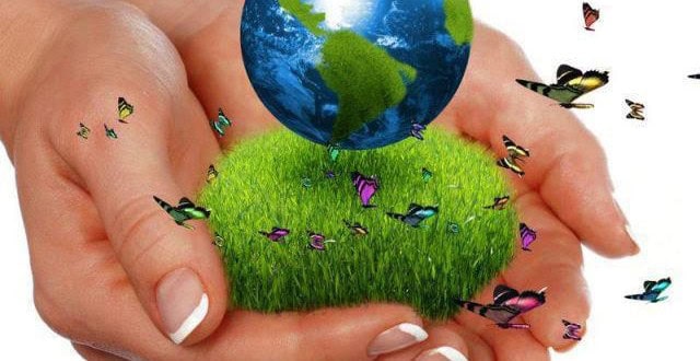 Pagos por Servicios Ambientales nuevo programa de Andes