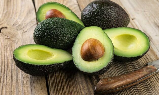 Antioquia está en proceso para ser el principal exportador de aguacate en Colombia