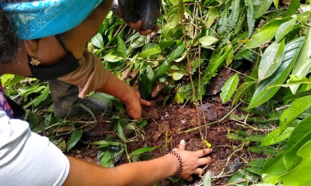 Insumos agropecuarios para los santabarbareños