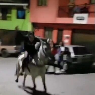Presunto maltratador de animales en Campamento, Antioquia.