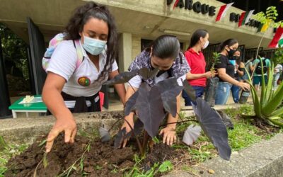 Tarso comprometido con el medio ambiente