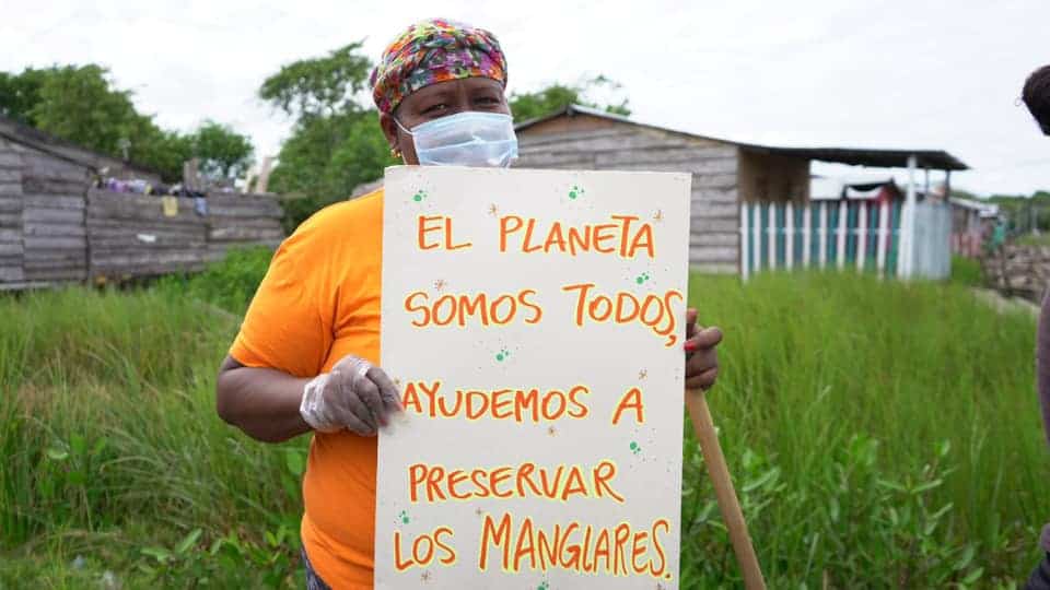 Conservación del Ecosistema de Manglar en Turbo