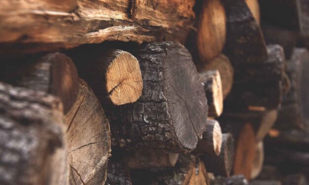 Autoridad ambientales se capacitan en control forestal