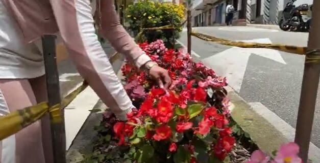 La Estrella Florece celebra su segunda edición