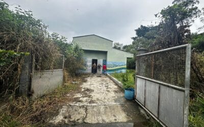 Ituango inicia la recuperación de su planta de beneficio animal