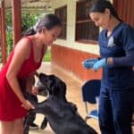 Jornada de bienestar animal llegó a San Mauricio, vereda de Yalí