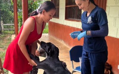 Jornada de bienestar animal llegó a San Mauricio, vereda de Yalí