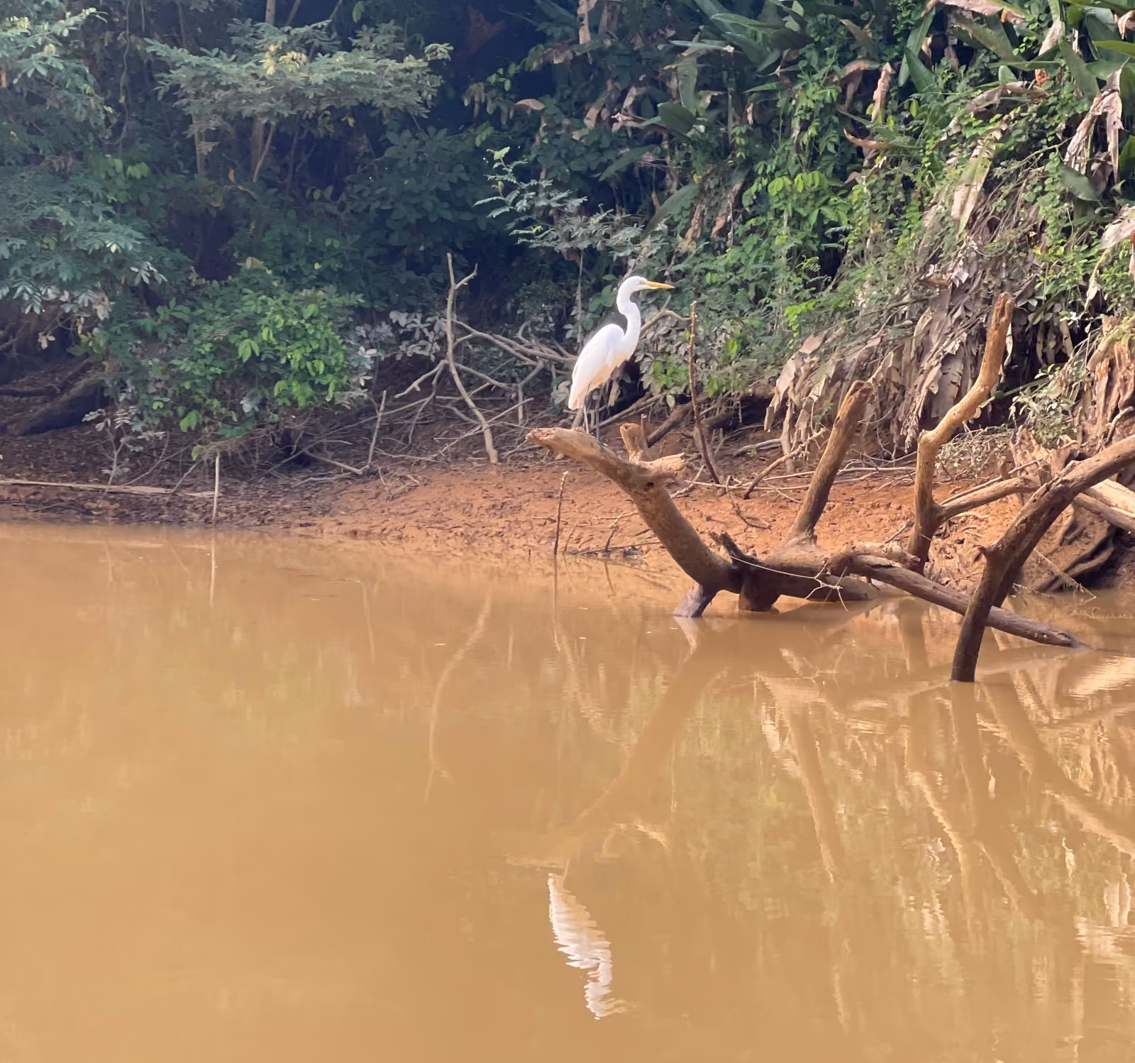 Imagen de la Ciénaga Pajaral en Cantagallo, Sur de Bolívar