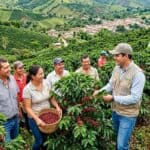 Alianza entre Guadalupe y EPM acompaña a 40 productores de café