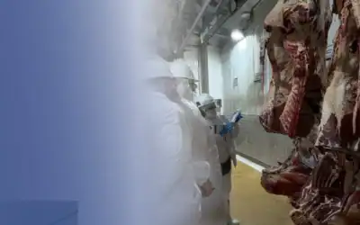 Curazao y Aruba auditan 12 plantas colombianas para exportación de carne