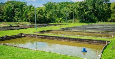 ICA certifica como Granja Biosegura la estación piscícola San José del Nus