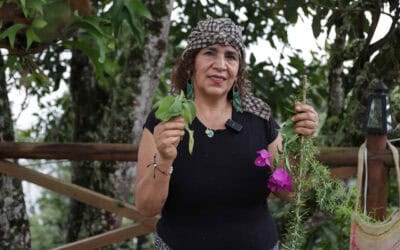 Palmitas impulsa rutas culturales y tejido campesino con PP