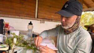 Investigación de la UdeA identifica 1.800 plantas alimenticias en Colombia