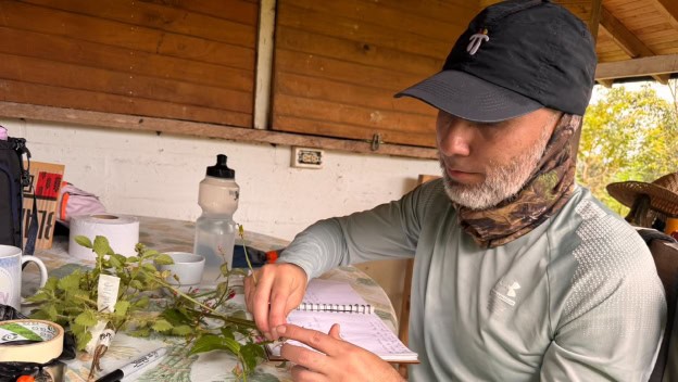 Muestras de herbario usadas para investigar plantas alimenticias en Colombia