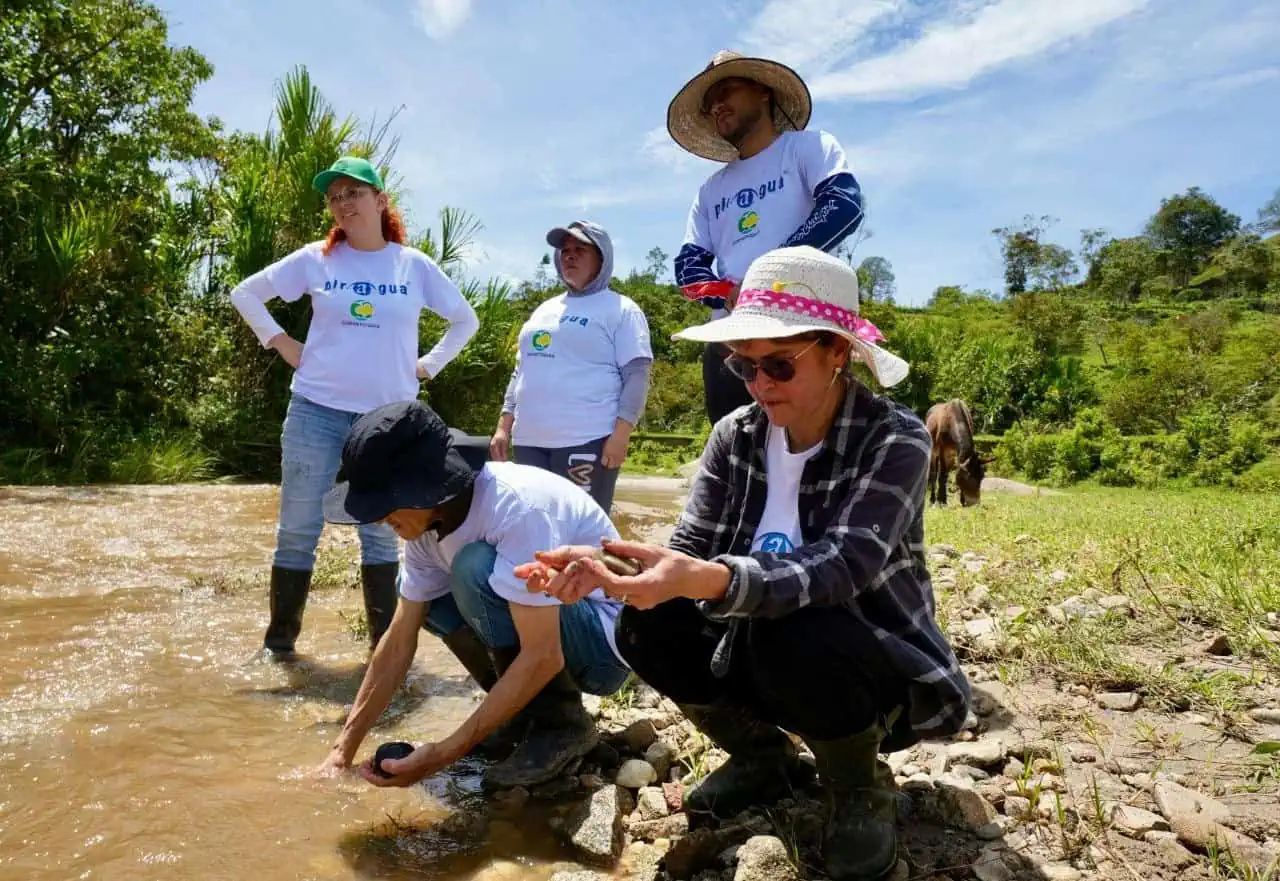 Imagen de referencia sobre vegetación acuática y el llamado de Corantioquia