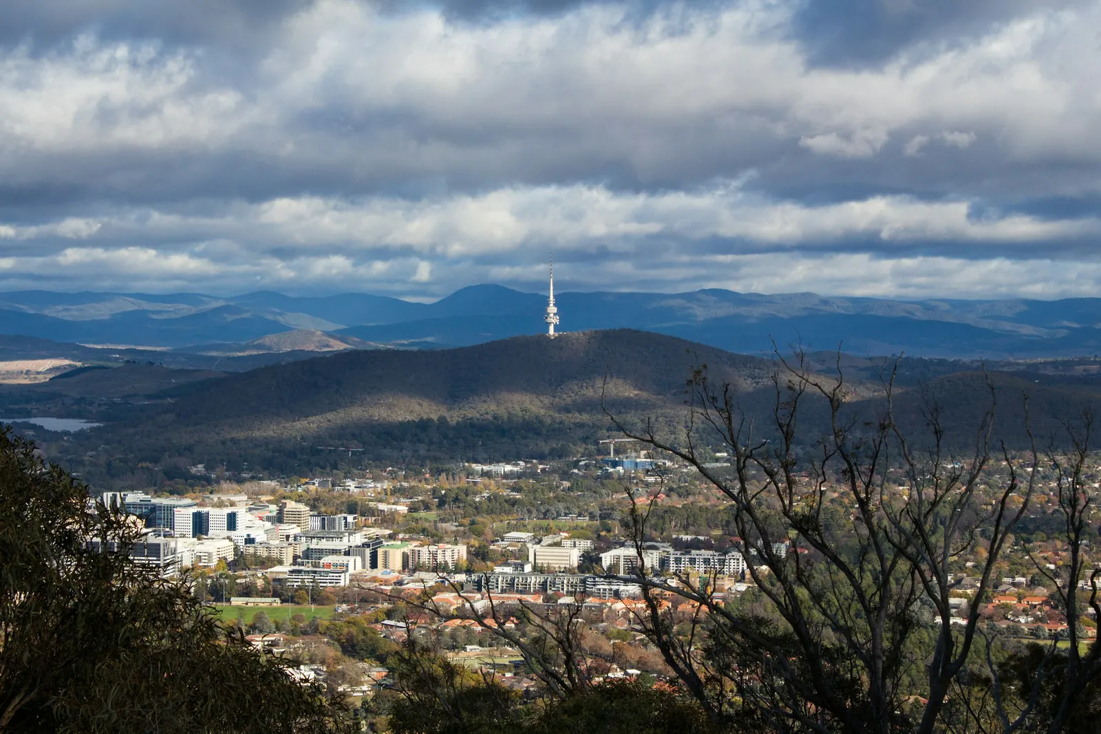 Canberra and Black Mountain Tower seen across the suburbs