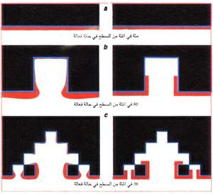 http://oloommagazine.com/images/Articles/11/SCI95b11N6-7_H04_005167.jpg