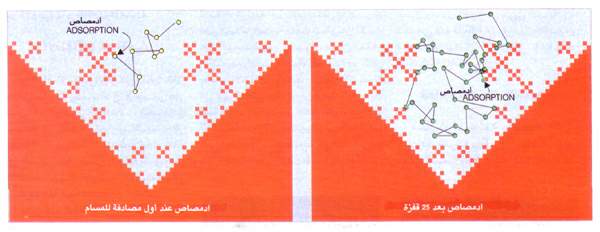 http://oloommagazine.com/images/Articles/11/SCI95b11N6-7_H04_005168.jpg