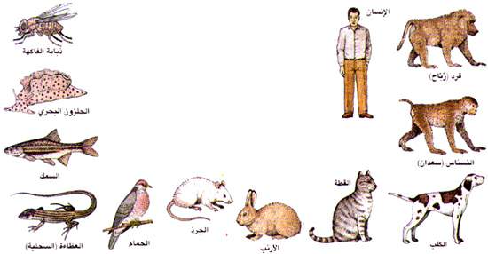 http://oloommagazine.com/images/Articles/12/SCI96b12N1_H01_005584.jpg
