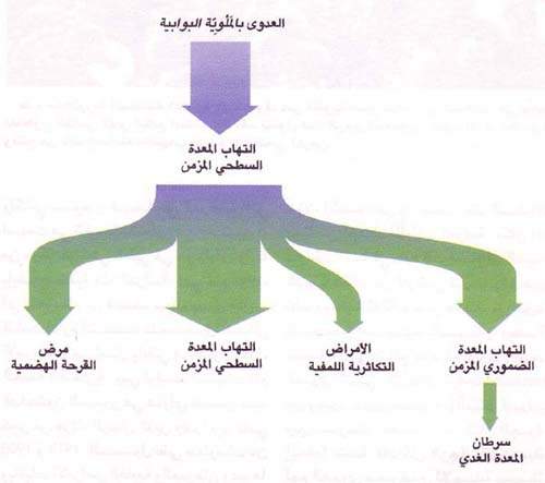 http://oloommagazine.com/images/Articles/12/SCI96b12N9_H04_006255.jpg