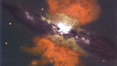 http://oloommagazine.com/images/Articles/12/SCI96b12N5-6_H03_005963.jpg
