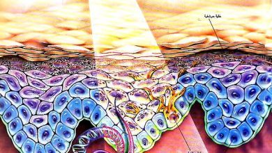 http://oloommagazine.com/images/Articles/12/SCI96b12N11-12_H02_005467.jpg