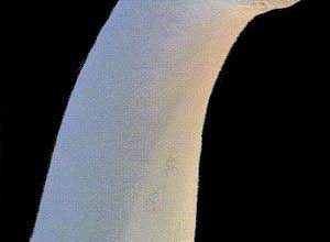 http://oloommagazine.com/images/Articles/12/SCI96b12N2_H04_005717.jpg