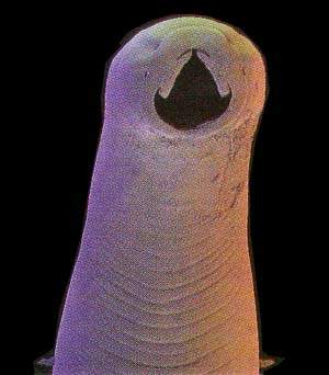http://oloommagazine.com/images/Articles/12/SCI96b12N2_H04_005722.jpg