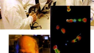 http://oloommagazine.com/images/Articles/13/SCI97b13N1_H02_006613.jpg