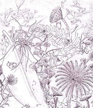 http://oloommagazine.com/images/Articles/13/SCI97b13N6-7_H04_007087.jpg