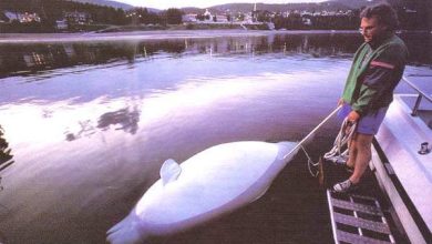 http://oloommagazine.com/images/Articles/13/SCI97b13N3_H02_006771.jpg