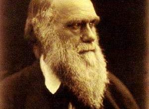 http://oloommagazine.com/images/Articles/13/SCI97b13N5_H02_006968.jpg