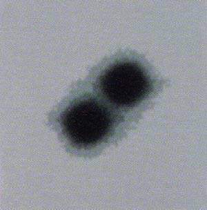 http://oloommagazine.com/images/Articles/13/SCI97b13N2_H05_006710.jpg