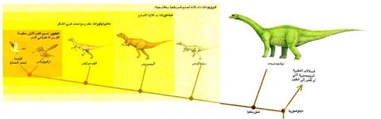 http://oloommagazine.com/images/Articles/14/SCI98b14N8-9_H02_008058.jpg