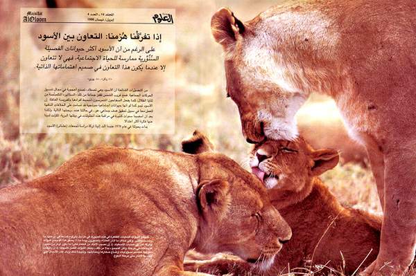 http://oloommagazine.com/images/Articles/14/SCI98b14N4_H01_007733.jpg