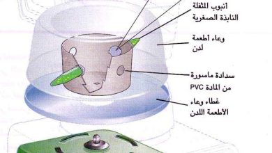 http://oloommagazine.com/images/Articles/14/SCI98b14N6-7_H04_007966.jpg