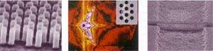 http://oloommagazine.com/images/Articles/14/SCI98b14N11_H05_007497.jpg