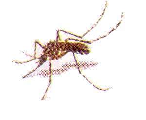http://oloommagazine.com/images/Articles/14/SCI98b14N11_H04_007489.jpg